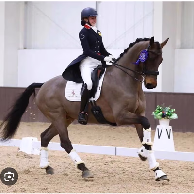 Addington International CPEDI/CDI3* Dressage 2025