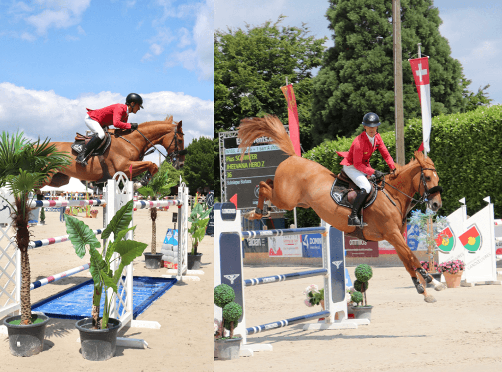 R/N135 / A au chrono - Prix Bongénie - Concours de saut officiel