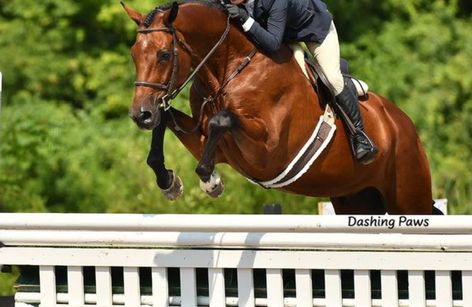 Saratoga WIB Spectacular