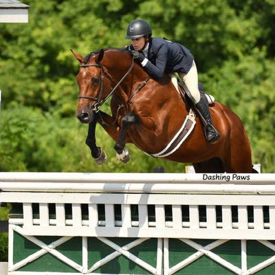 Saratoga WIB Spectacular