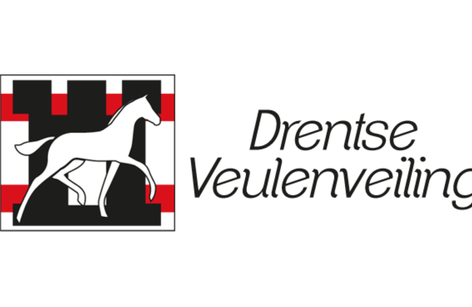 Drentse Veulenveiling