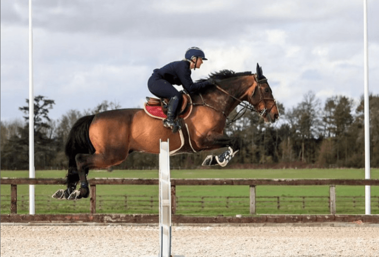 Live Stream Addington Equestrian 3 Day British Showjumping Show