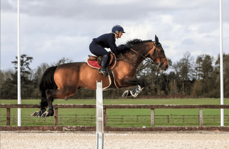 Addington Equestrian - 3 Day British Showjumping Show