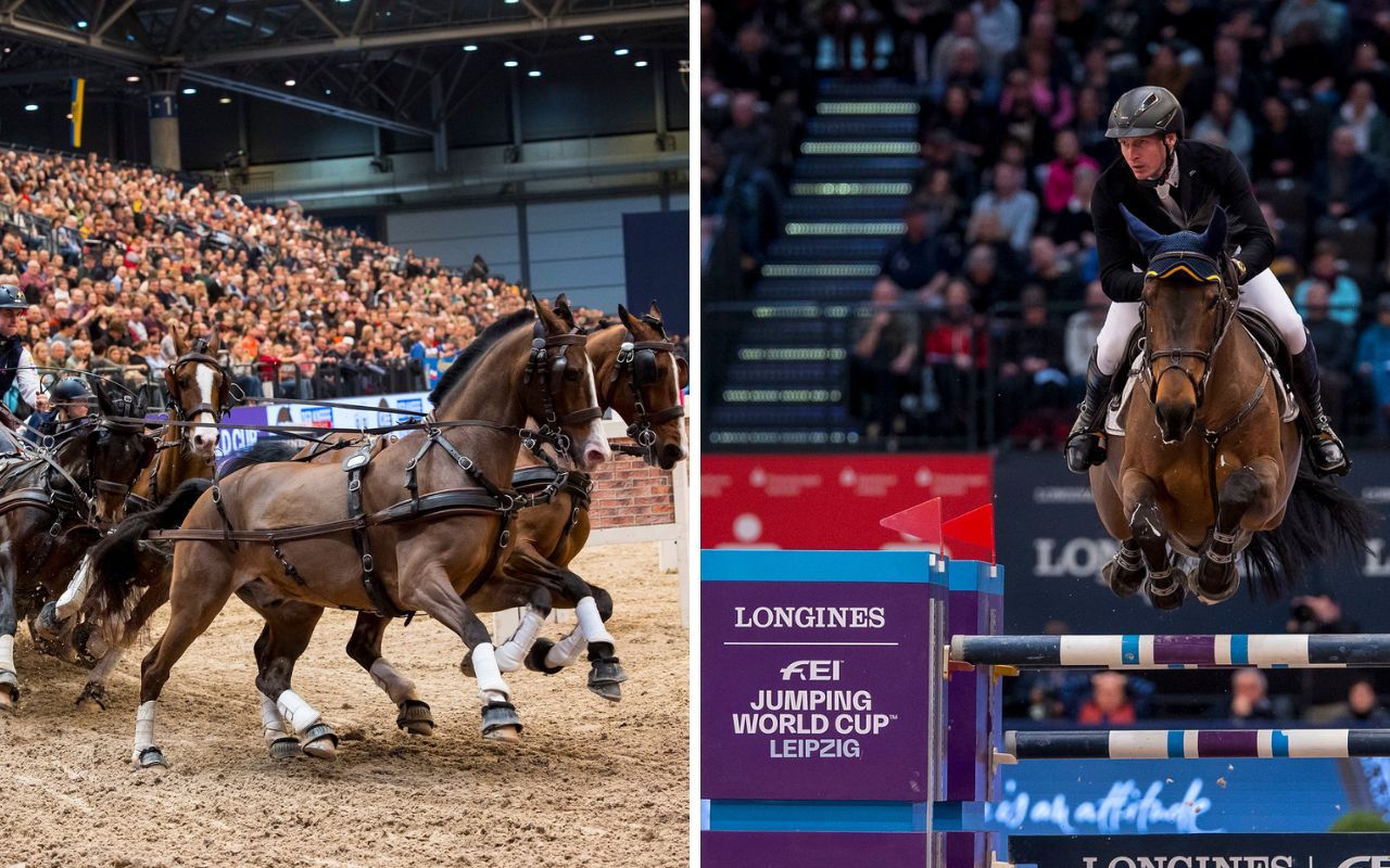 Live Stream Partner Pferd Leipzig FEI World Cup Jumping