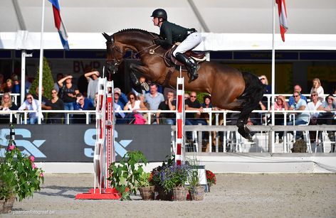 FEI WBFSH Jumping Championships for Young Horses