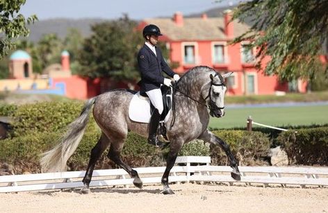 Final PSCJ ANCCE San Martín del Tesorillo