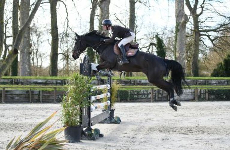 Live Stream Jumping ProAm Auvers Jump 2023 Videos, Live