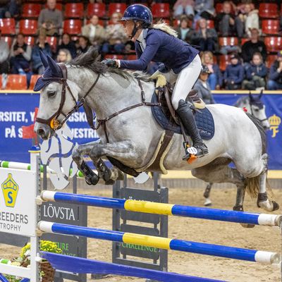 SWB Equestrian Weeks