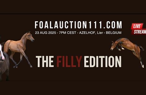 Filly Auction 111