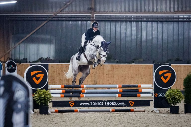 Live Stream Schockemöhle Online Auction Show Jumpers 2022