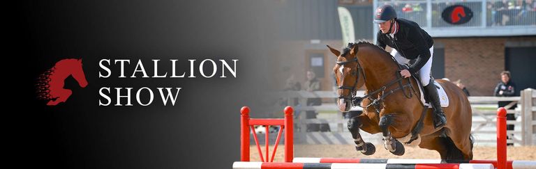 Stallion Streams Live Stream - Stallion AI Stallion Parade - 2026 | Videos, Live Streams ...