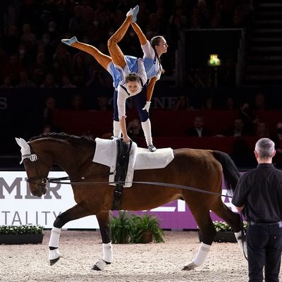 FEI Vaulting European Championship for Seniors &  FEI Vaulting World Championship for J & YV