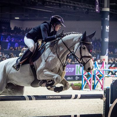 Longines FEI Jumping World Cup™ 2025-2026 | WEL - Verona