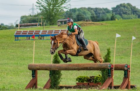 Bábolna - CCI1*-Intro, CCI2*-S, CCI3*-S