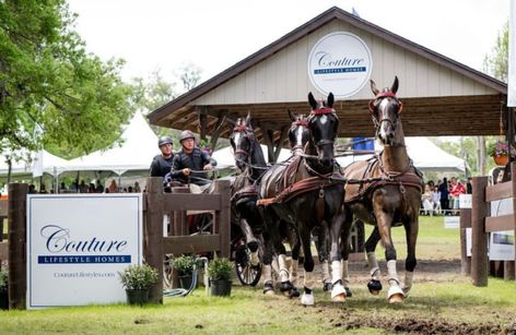 Live Oak International
