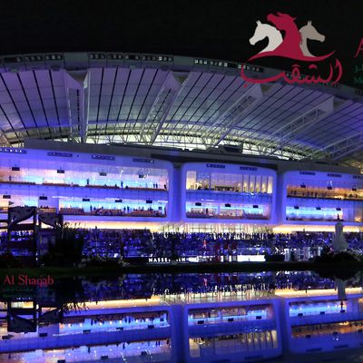 Al Shaqab - CSI4*, CSI2*, CSI1*, CSIYH1*