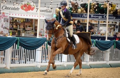 Aintree - Young Horse Show