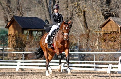 Copa Federación Hípica de Madrid de Doma 2025