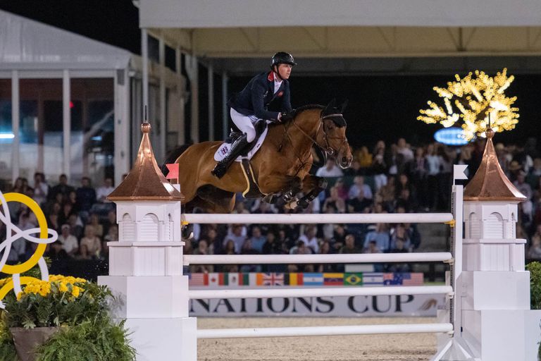 Live Stream WEF Week VI 2024 Videos, Live Streams, Films and