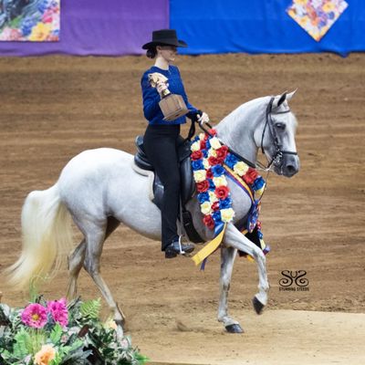 PFHA Grand National Championship Show