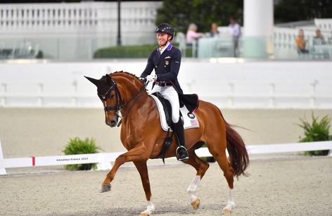 WEC October Dressage presented by Hampton Green Farms