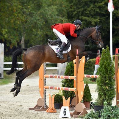 Millstreet International Horse Show CSI2* 2025