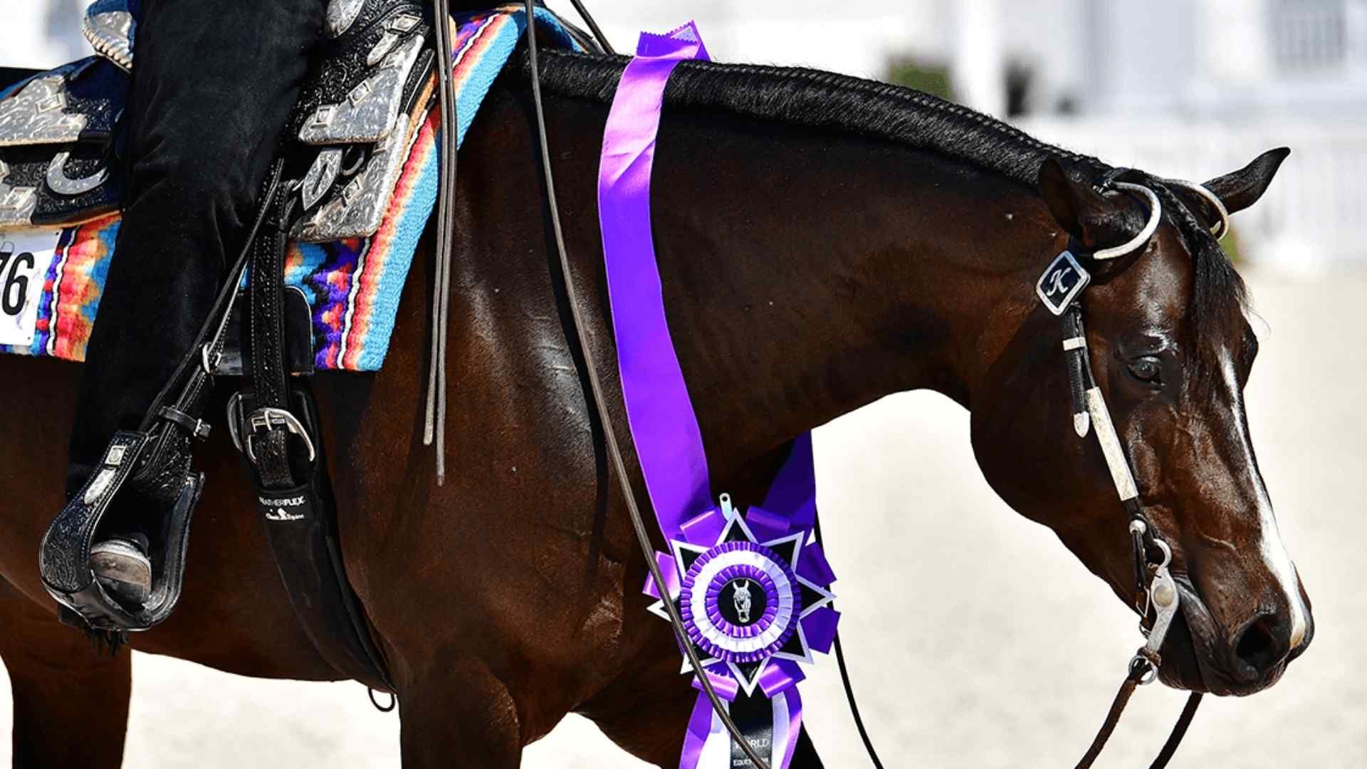 Live Stream - Orange Blossom Classic AQHA, FQHA & NSBA Live Stream - Orange Blossom Classic AQHA, FQHA & NSBA
