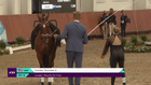 FEI Vaulting World Championships 2021 - Nations Team Competition - Freestyle