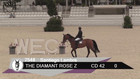 WEC Ocala Summer IX - Welcome Prix- 340.c