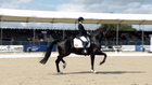 Verden International - FEI WBFSH Dressage World Breeding Championships for Young Horses - Qualifier 6 years old