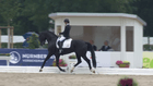 Verden International - FEI WBFSH Dressage World Breeding Championships for Young Horses - EN_Final 6 years old