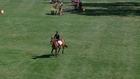 Spruce Meadows National CSI5* - CSI5* RBC GRAND PRIX OF CANADA - with jump-off - 1.60m