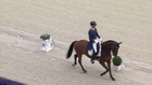 CHIO Aachen - Preis der Liselott und Klaus Rheinberger Stiftung Young Rider Individual Competition