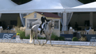 Internationales Ludwigsburger Dressurfestival 2021 - CDI4* - Grand Prix Freestyle