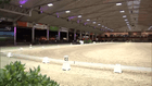 BK Dressuur - Platina Cup - Intermediaire A