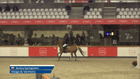 Sentower Park CSI2*/1*/YH Tour 2/2 - Prijs Ashford Farm - CSI2* - Table A with jump-off - 1.45m (LR)