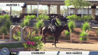 CSI3* National Sunshine Series - Green Hunter/Handy 3'6"