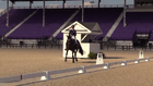 CDI-W WEC Dressage V - $500 CDI FEI Young Rider Individual