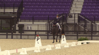 CDI-W WEC Dressage V - $500 CDI FEI Young Rider Freestyle