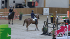 CSI** Riesenbeck International - CSIYH1*  - FUNDIS  Youngster-Cup  (6-7j.)