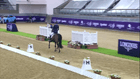 CHI Al Shaqab - FEI Team Test - Grade IV