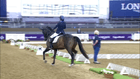 CHI Al Shaqab - FEI Freestyle Test - Grade III