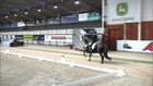 CDI 4* Lier - CDI 4* Big Tour Grand Prix
