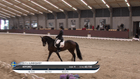 CPEDI3* Blue Hors Para - CPEDI3* Team IV (IV Team)