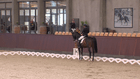 CPEDI3* Blue Hors Para - CPEDI3* Individual III (III Ch Ind)