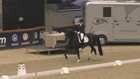 Sentower Dressage Festival - CDI2* Int I FS - Intermediate I Freestyle to Music (Int I FS)