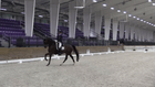 CDI3* WEC OCALA DRESSAGE III - FEI Prix St George* (Jr-YR/AA)