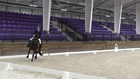 CDI3* WEC OCALA DRESSAGE III - USEF Third Level Test 1 (Jr-YR/AA/Open)
