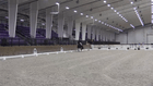 CDI3* WEC OCALA DRESSAGE III - FEI Prix St George* (Jr-YR/AA)