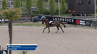 Sentower Park Easter Tour week 3 - CSI2* - Two Phases Special - 1.40m